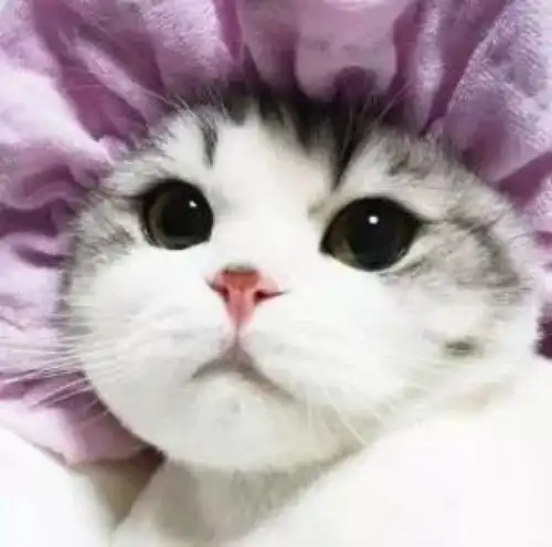  惨无人道日本12岁小男孩被亲生舅舅虐待每日穿女仆装