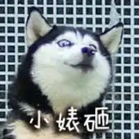  柴犬情侣头像秋千微信头像图片大全
