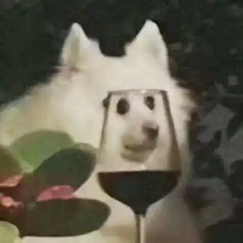  超火的沙雕表情包and情侣头像了解一下不看后悔系列