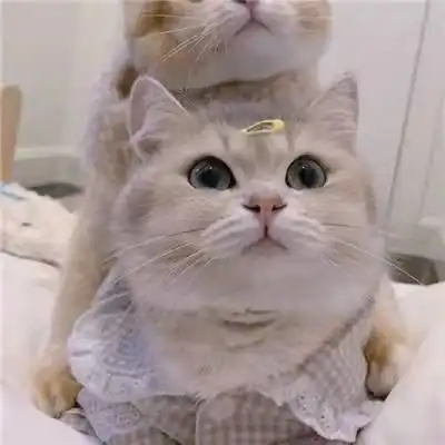  你和星星一样惹人心动