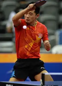  体育乒乓球卡塔尔公开赛张继科无缘四强
