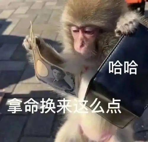 当霸总文学照进现实,为什么所有打工人却都想给他两拳