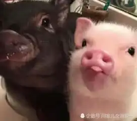  注定分手的3类情侣,若全中,就长痛不如短痛放过彼此吧