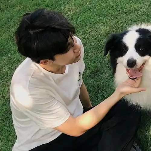  cp头像我在等等乌鸦讲情话等铁树开花