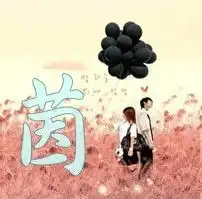  这是情侣用的头像,能不能弄张一模一样的