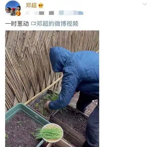  孙俪与邓超夫妇通过社交平台暗戳戳的向网友撒糖,真是羡煞旁人