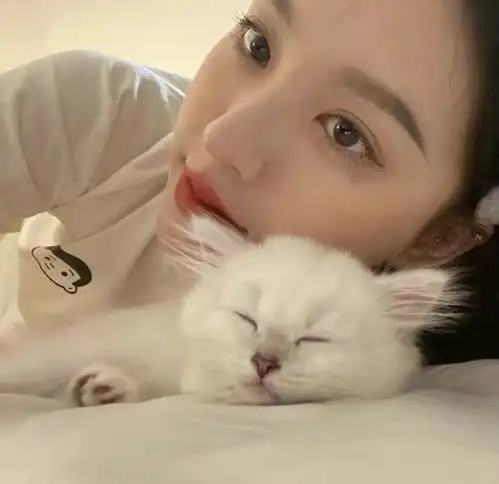  是我最爱的plmm头像