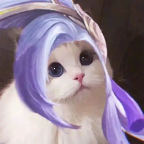  王者荣耀喵咪头像