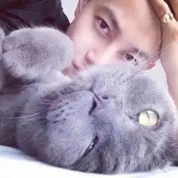  求一张与这个头像对应的男头谢谢了