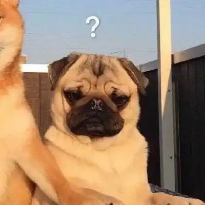  情侣头像可爱牛牛,不怕困难