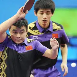  王皓张继科晋级男双16强王皓上手进攻