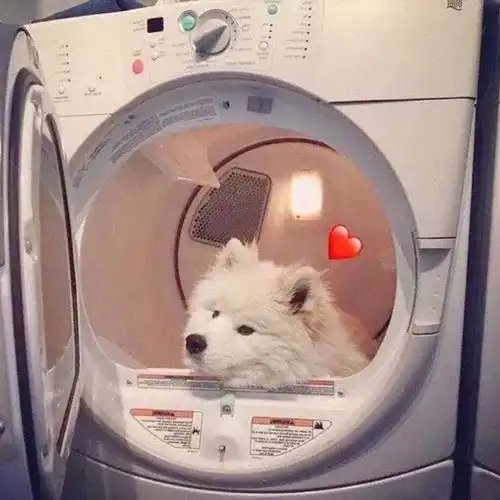  情侣头像幸福很小有你很温暖