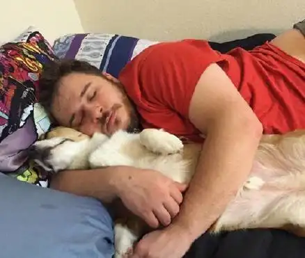  想知道情侣之间最远的距离吗养只狗你就知道了....