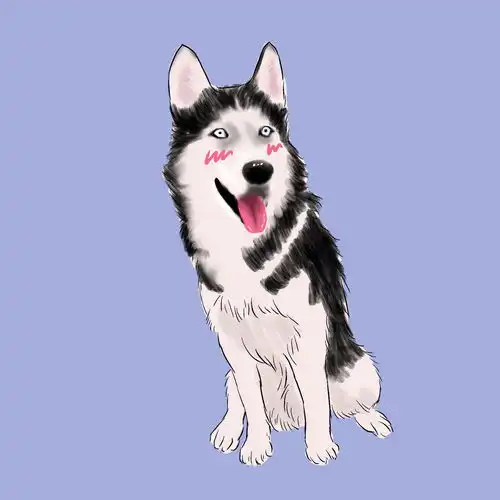 淘宝蒙啊朵的店宠物头像定制猫狗手绘真人漫画diy设计定做礼物原创代画卡通q板狗狗画狗画猫汪星人喵星人猫咪可爱宠物萌宠铲屎官猫粮狗粮哈士奇拉布拉多金毛泰迪柯基雪纳瑞边牧秋田柴犬博美阿拉斯加吸猫布偶猫幼猫英短蓝猫田园猫奶牛猫缅因无毛猫宠物插画狗狗猫咪