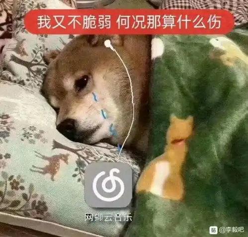  网抑云沙雕图来袭