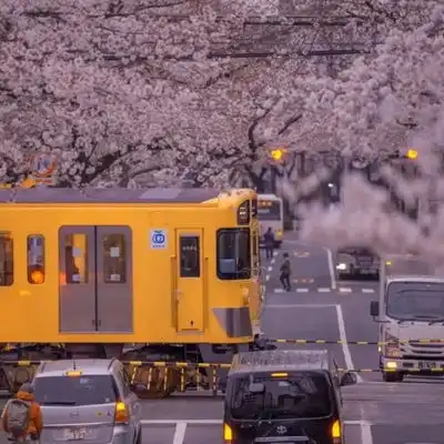  2023最新行驶在浪漫中的慢火车风风景静物头像我要个性网