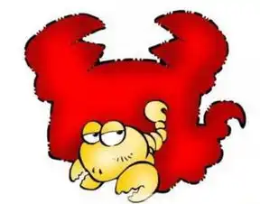  出于喜欢和爱,乐意去装傻的4个星座