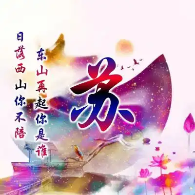  罕见古风唯美姓氏头像,日落西山你不陪,东山再起你是谁