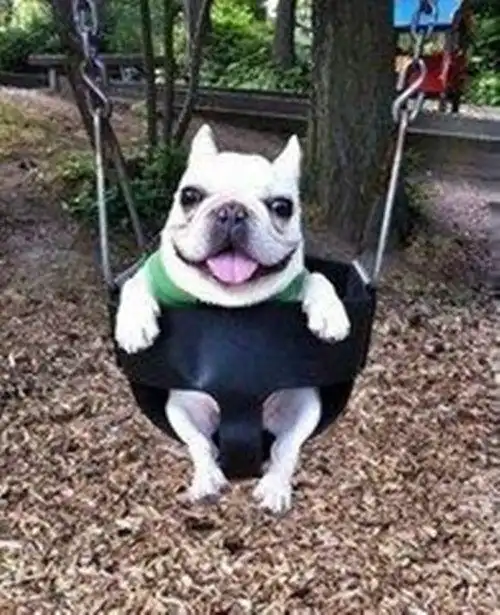  幽默段子我把女朋友送到车站,突然想要玩点浪漫,于是......