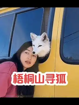  小七的旅行2.14情人节钙片活动