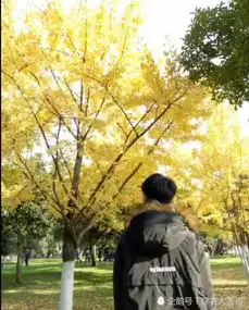 最近很火的五组情侣头像,二次元古风超心机,尤其是图五太搞笑