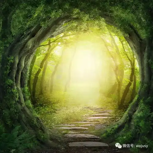  沃居私人订制自然景观唯美风光系列