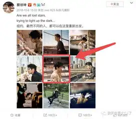  她又做猪队友了