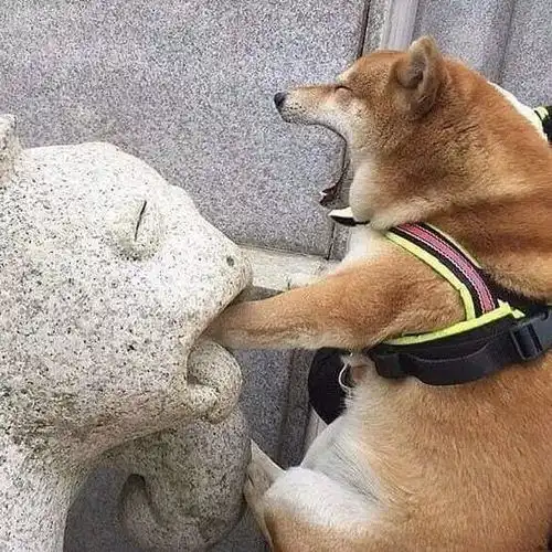 搞笑微信qq头像
