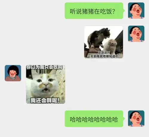  情侣间吵架聊天记录