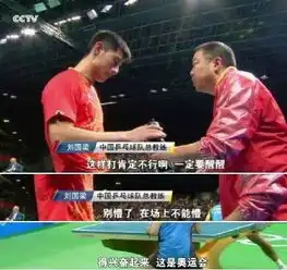  里约奥运会出产的小花边比赛事还精彩你错过了什么必须补起来