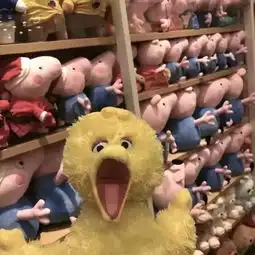  情侣头像有了我以后可不能再有别的猪了