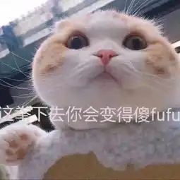  战歌没有人能在我的bgm里打败我