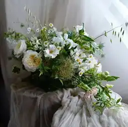  爱花的极致,就是心甘情愿当个花奴