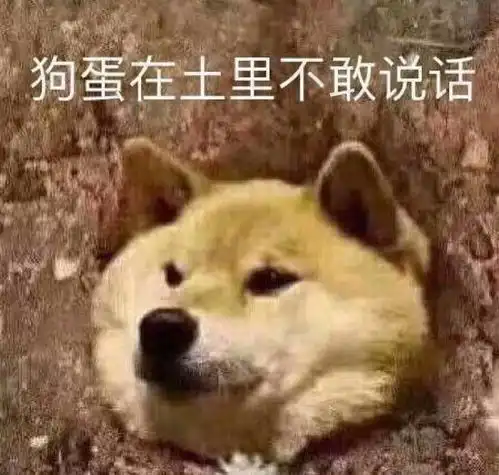  就靠点映repo吊着狗命了