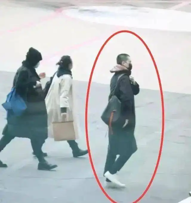  王菲和谢霆锋恋爱告急天后多次带神秘男模出镜,k歌音乐节嗨玩