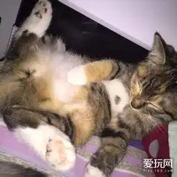  实力网红表情包论葛优躺是如何炼成的