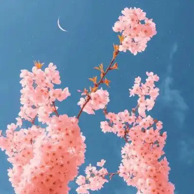  仙气十足的花,三色搭配,耳目一新