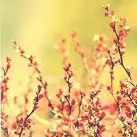  休闲微信头像意境个性优雅咖啡屋