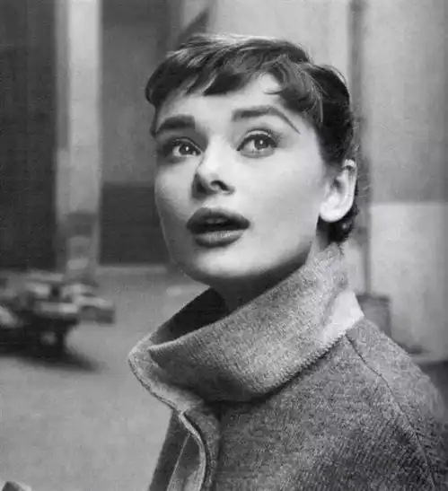  湖青调颜丨你想拥有谁的女神脸