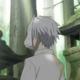  萤火之森,萤火虫之森,阿银,自截头像