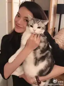  说不清段小姐哪里好,就是谁也替代不了