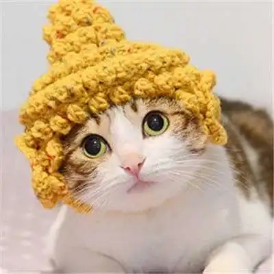  两个猫咪情侣头像一左一右就要这么萌萌哒