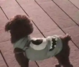  超搞怪的情侣头像,看到第一张就止不住笑,男票愿意换是真的爱你