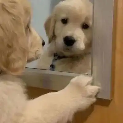  男生头像爱错了就回头吧趁天还没黑趁还记得路