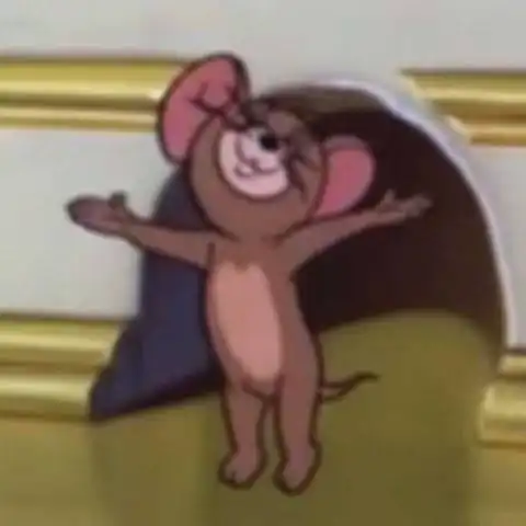  现在的女的头像用杰瑞是什么意思,我这复习许久,想是错过了什么引起的点,那么请问,这到底是啥意思呢