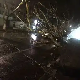  4号的狂风暴雨还没缓过劲第二波冷空气已在路上了....