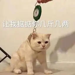 无敌实用沙雕表情包