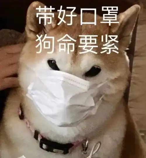  全部售空,多地追查过年期间可以聚会吗官方回应了