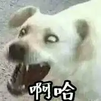  娘子啊哈情侣头像2016最流行娘子啊哈两只狗的情侣头像