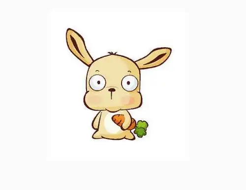  三大生肖女的择偶标准,嫁给这样的男生必定幸福一生